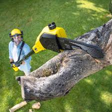 Lawn Watering Services in Cridersville, OH